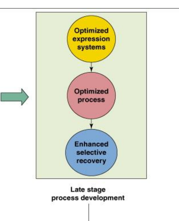 <p>genomic and proteomic tools in process development: late stage</p>