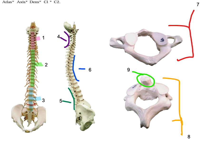 <p>Structure 7</p>