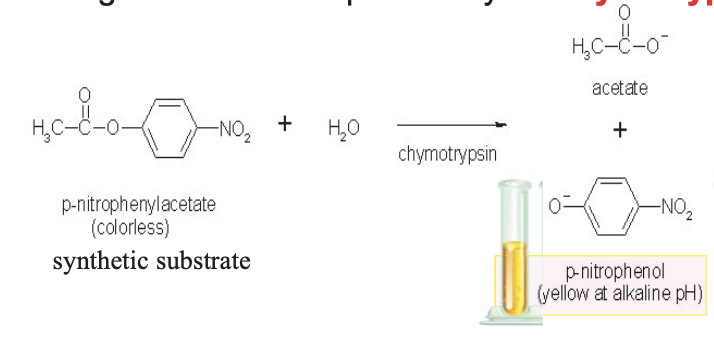 <p>Beer’s Law (A = cl) w/ Spectrophotometric Analysis!</p>