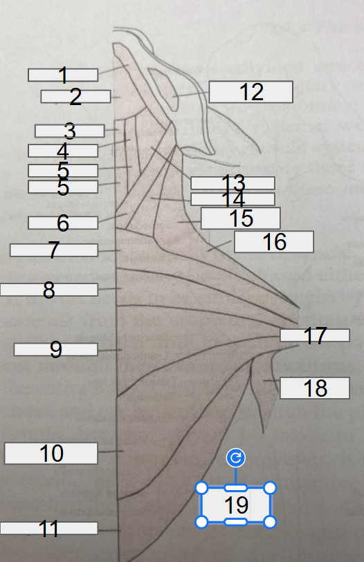 <p>4</p>