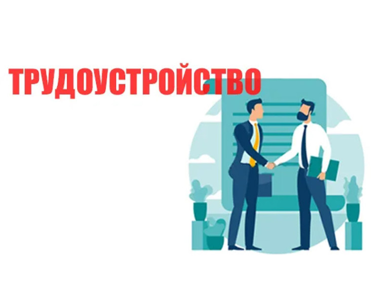 <p>трудоустройство / занятость </p>