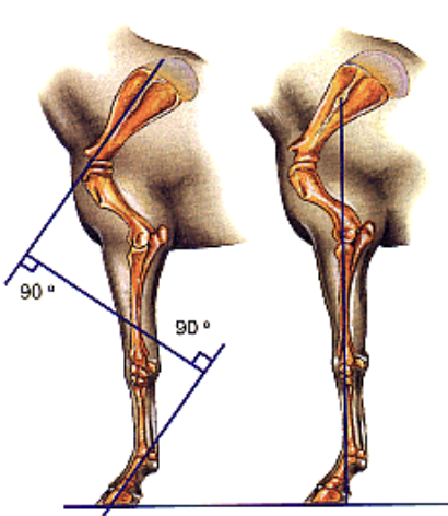 <p>what is this an image of</p>