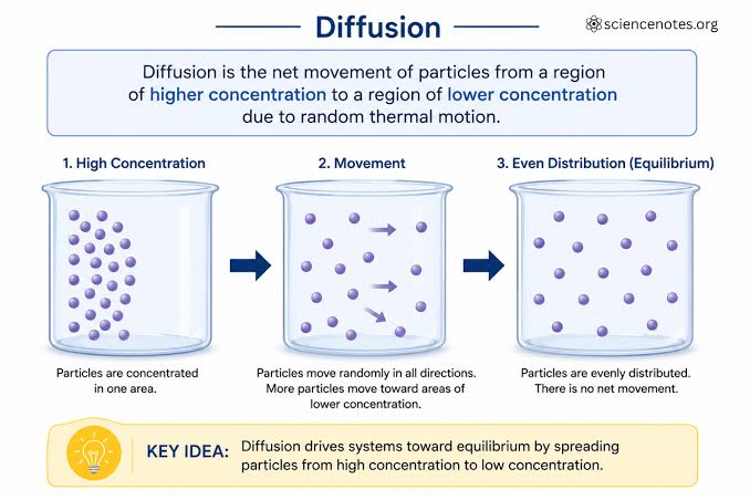 <p>Define diffusion</p>