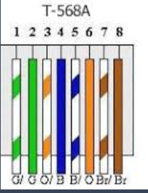 <p>Green white, green, orange white, blue, blue white, orange, brown white, brown</p>