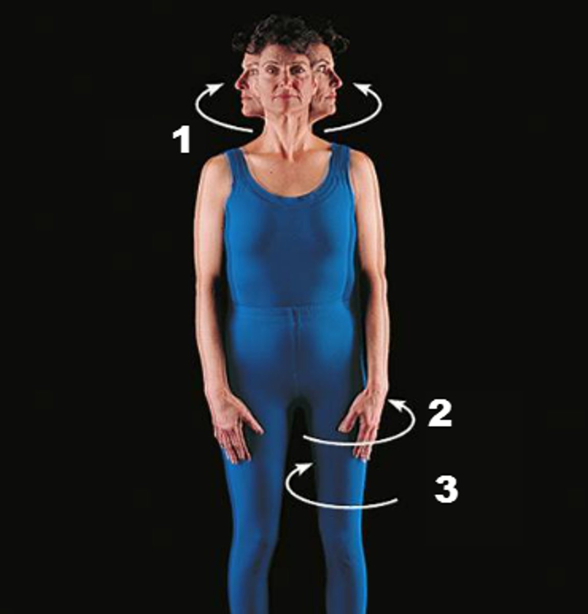 <p>a pivoting motion in which one bone rotates or twists around the bone's longitudinal axis</p>
