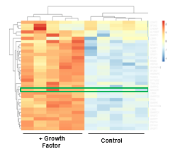<p>HEATMAP</p>