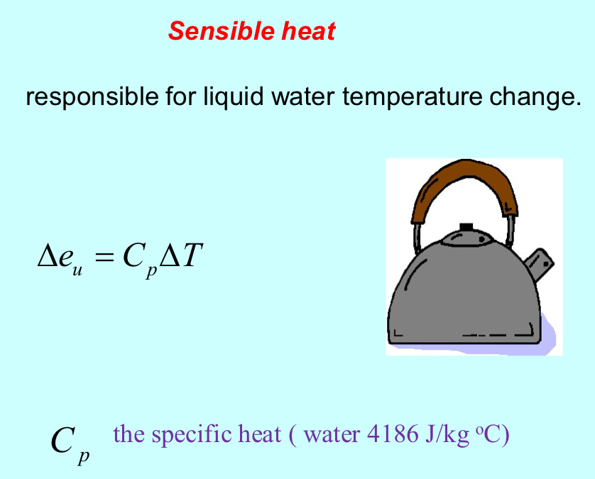 <p>responsible for liquid water temperature change</p>