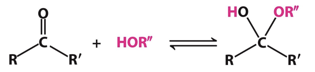 <p>Label the following reaction:</p><p>___?____ reacts with ___?_____ to make _____?____</p>