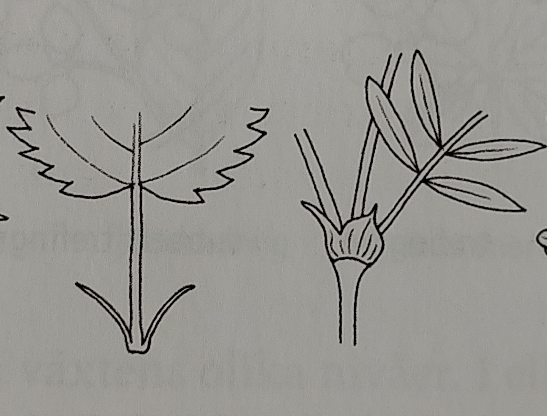 <p></p>