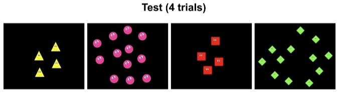 <ul><li><p>test (visual)</p><ul><li><p>same/matching number of items </p></li><li><p>different number of items </p></li></ul></li></ul><p></p>