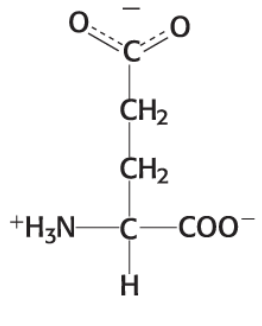 <p>CH2 — CH2 — C == O == O</p>
