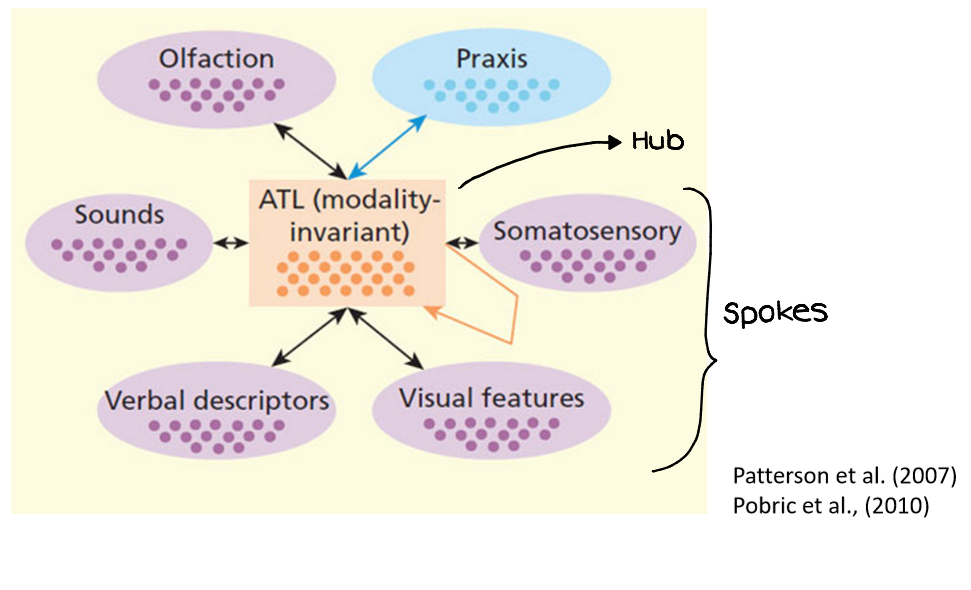 <p><span style="background-color: rgb(178, 162, 199);"><strong>„Hub-and-Spokes“-Modell:</strong></span></p><ul><li><p><span>Modell der semantischen Verarbeitung (Chat Gpt)</span></p></li></ul><p>Besteht aus:</p><ul><li><p><span style="background-color: rgb(204, 193, 217);"><strong>Hub</strong></span></p></li><li><p><span style="background-color: rgb(204, 193, 217);"><strong>Spokes</strong></span></p></li></ul><p></p>