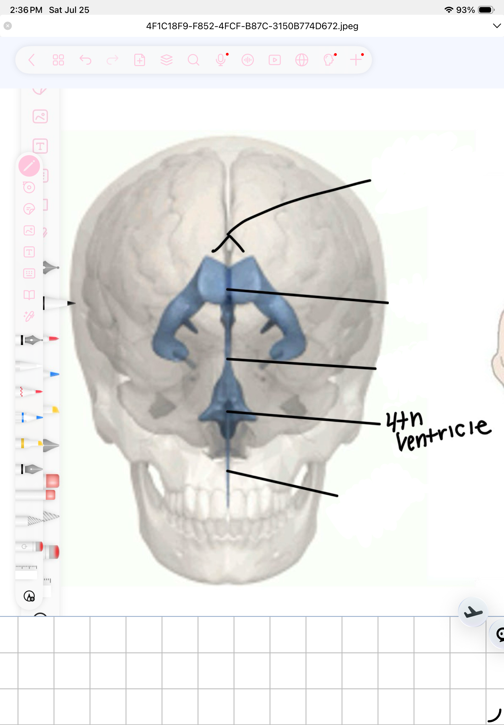 term image