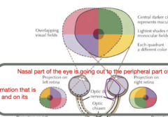 <p>-Already inverted and upside down due to the way the lens focuses light</p><p>-This is the whole image, before any crossover</p>