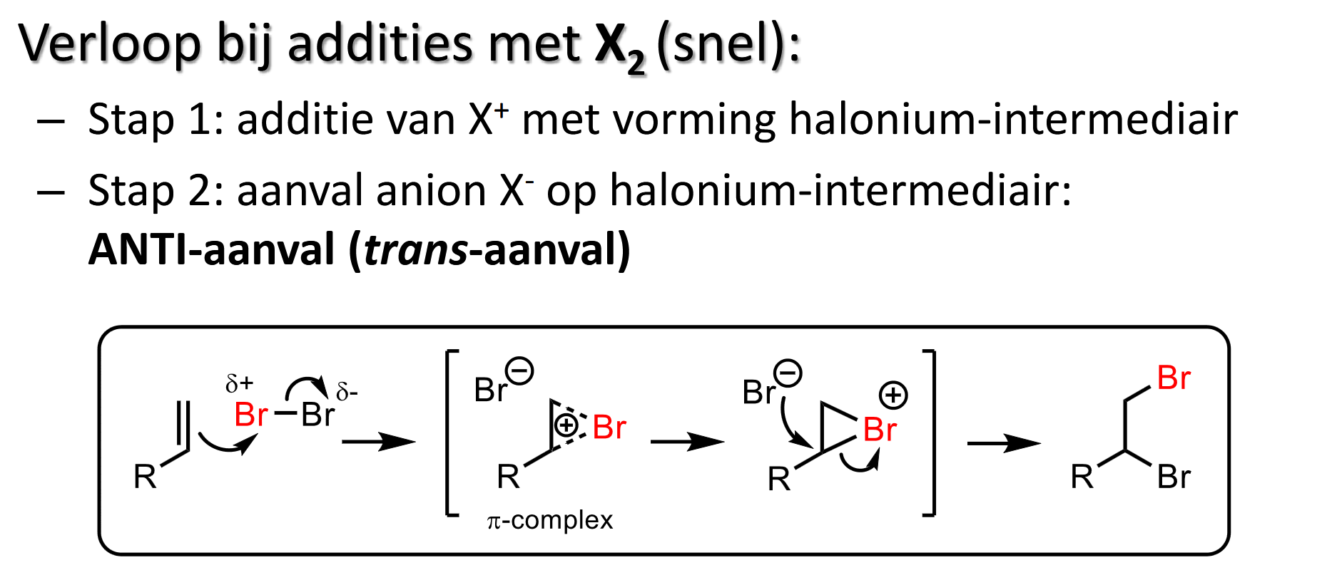 <p>p 17.5</p><p>Elektrofiele additie, ionaire reactie, snel</p><ul><li><p>met Br<sub>2</sub> of Cl<sub>2</sub> (meestal met Br<sub>2</sub> want Cl<sub>2</sub> is gas)</p></li><li><p></p></li><li><p>Br<sub>2</sub> in omgeving van // → afstoting elektronen → tijdelijk een kleine polarisatie → dus delta (+) en (-) → delta (+) wordt aangetrokken door pi-wolk van //</p></li><li><p>3-ring intermediair = verschil met HX-additie</p></li><li><p>oorspronkelijk delta (+) deeltje staat terminaal </p></li><li><p></p></li><li><p>trans-/anti-aanval</p></li></ul><p></p><p>(naam halonium-intermediair ~)</p><p></p>