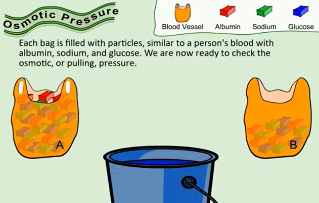 <p><span>Blood vessel A has ______ as many particles as blood vessel B.</span></p>