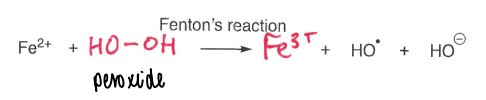 <p>A Fe2+ (usually FeSO4) metal is used.</p>