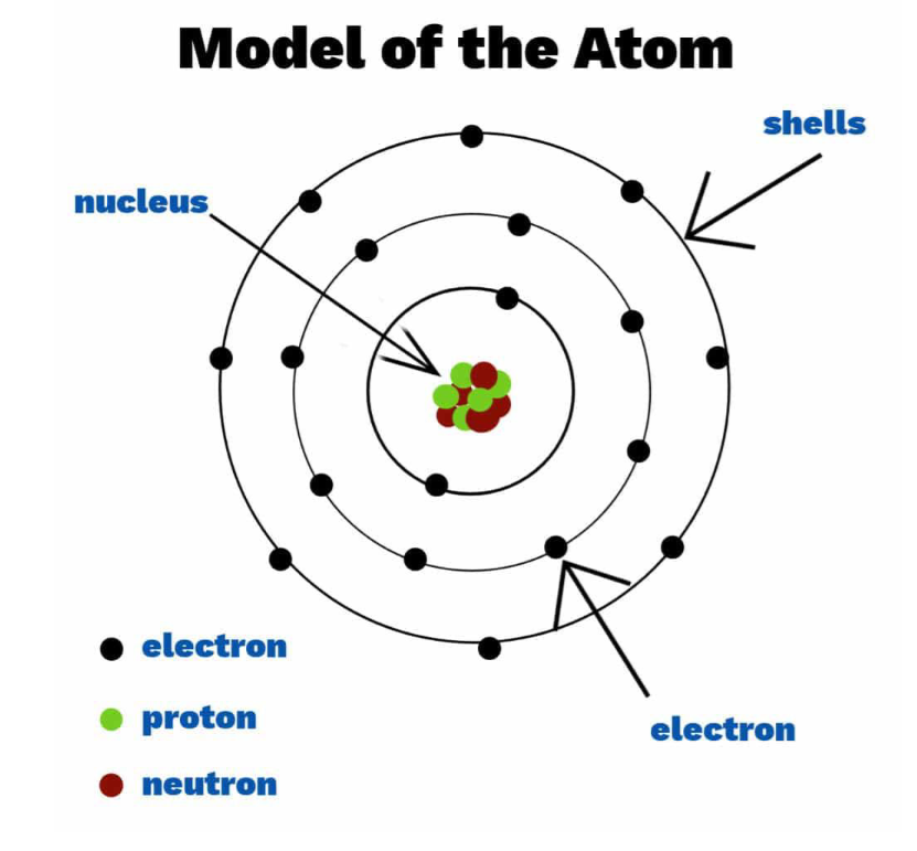 <p>Stable Isotope Analysis</p>