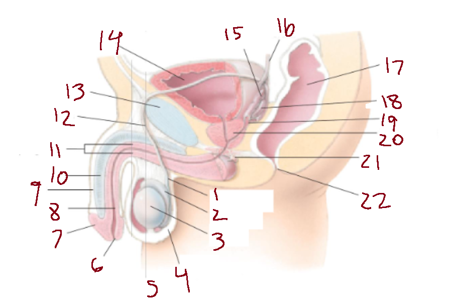 <p>What is 3</p>