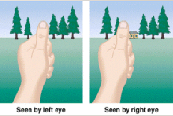<p>Depth cue; the difference in perspective provided by each eye</p>