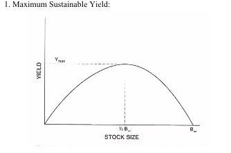 <p>sustainable yield (sustained yield)</p>