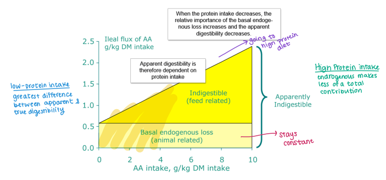 <p><strong><u>Apparent vs. True Digestibility </u></strong></p><ul><li><p>__________:<strong> endrogenous makes</strong><span style="color: red;"><strong> less of a total contribution </strong></span></p></li></ul><p></p>