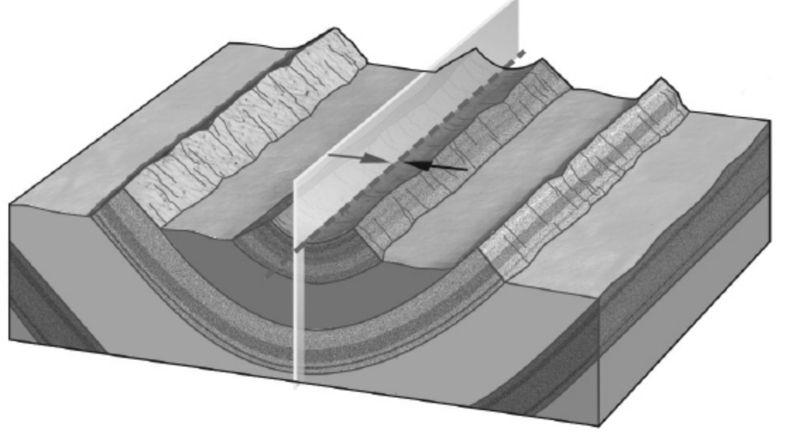 <p><span>The sides of a fold, where curvature is at a minimum, are termed ________.</span></p>