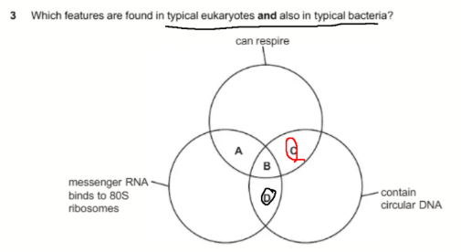<p>5 </p><p><strong>Q:</strong> Which region represents features found in both typical eukaryotes and typical bacteria?</p><p> </p><p>The features are:</p><p> </p><ul><li><p>Can respire</p></li><li><p>Messenger RNA binds to 80S ribosomes</p></li><li><p>Contain circular DNA</p></li></ul><p><strong>A:</strong> Region A<br><strong>B:</strong> Region B<br><strong>C:</strong> Region C<br><strong>D:</strong> Region D</p>