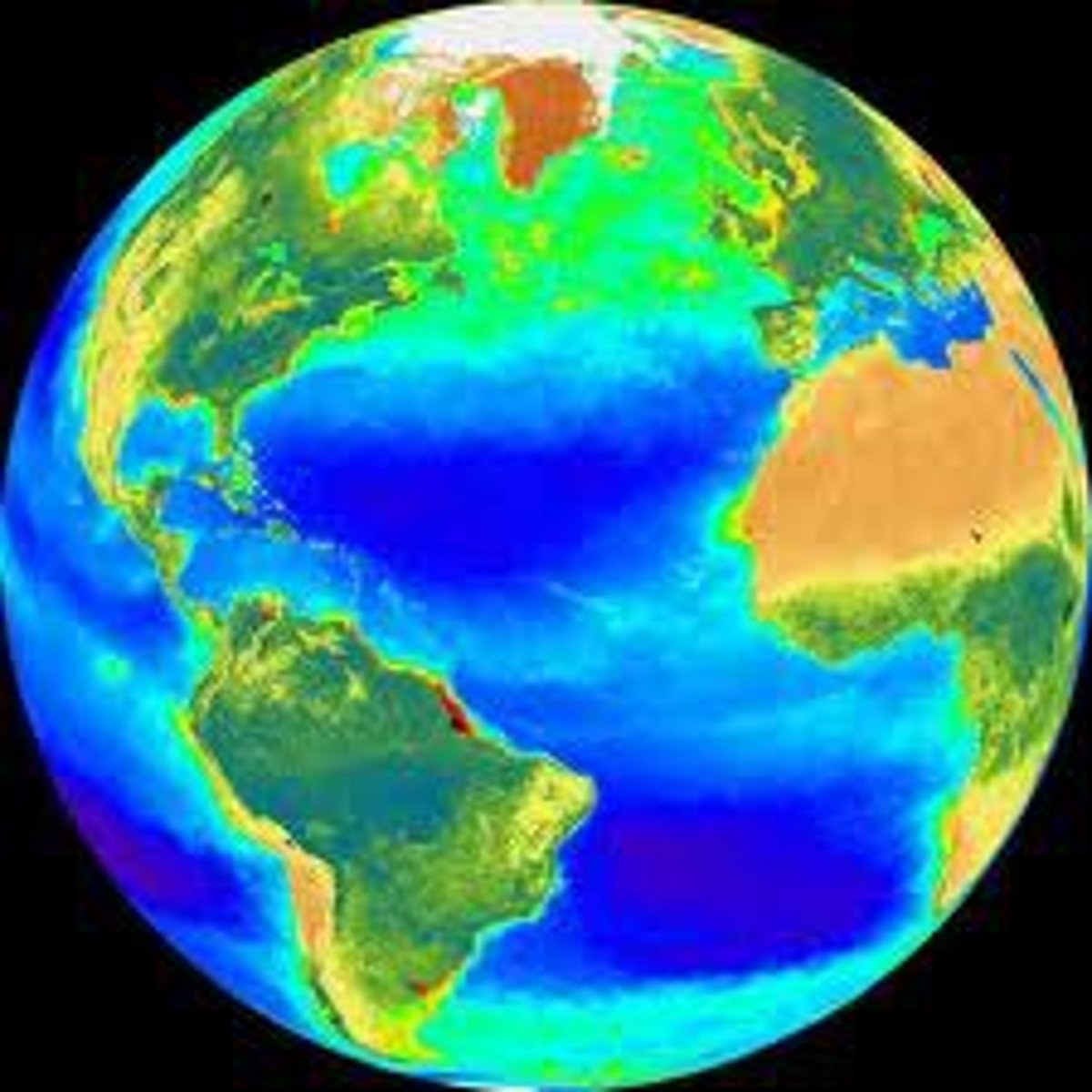 <p>The part of Earth where living things can exist, including land, water, and air.</p>