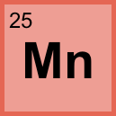 <p>25</p>