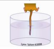 <p>hot water tail flick </p>