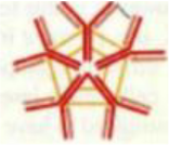 <p><span style="line-height: 16.866667px;">What can you conclude if you find the structure at the right in a patient?</span></p>