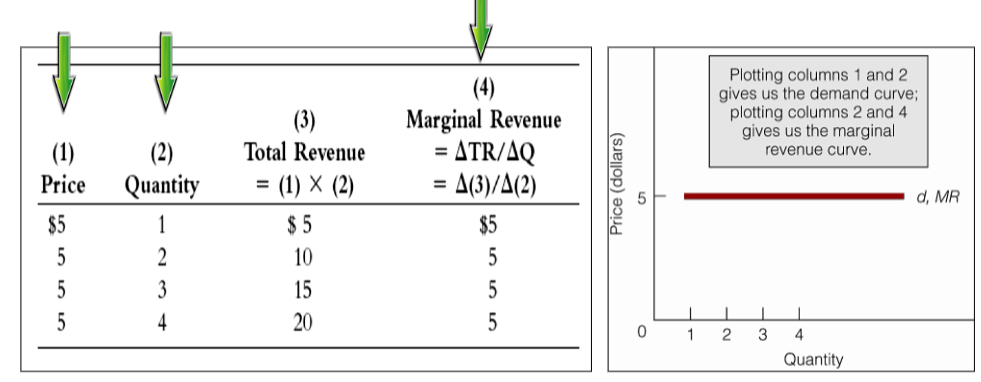 <ul><li><p>by computing marginal revenue, we find that it is equal to price</p></li><li><p>by plotting columns 1 and 2, we obtain the firm’s demand curve</p></li><li><p>by plotting columns 2 and 4, we obtain the firm’s marginal revenue curve</p></li><li><p>the two curves are the same</p></li></ul><p></p>
