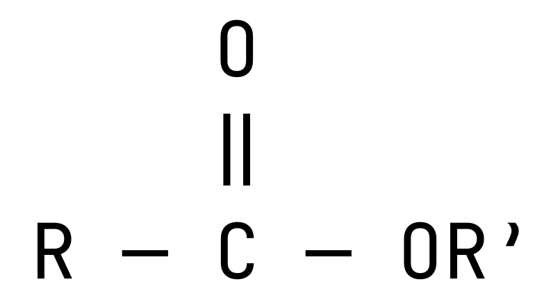 <p></p>