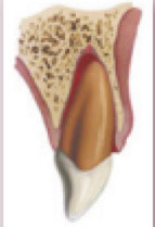 <p>What is this?</p>
