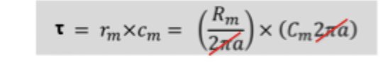 <p>independent of axon diameter</p>