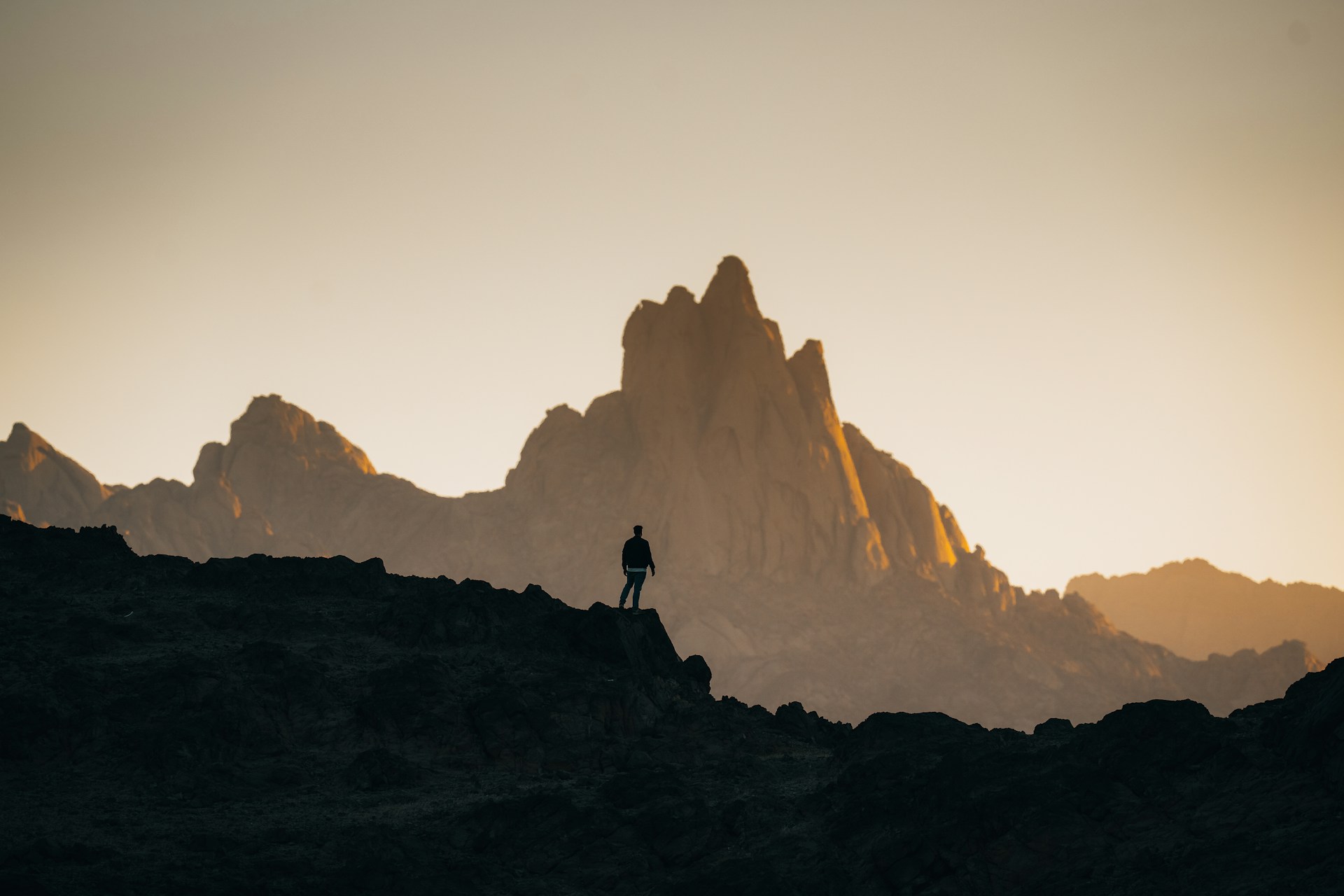 <p><strong>Explore </strong><em>(verb)</em></p>
