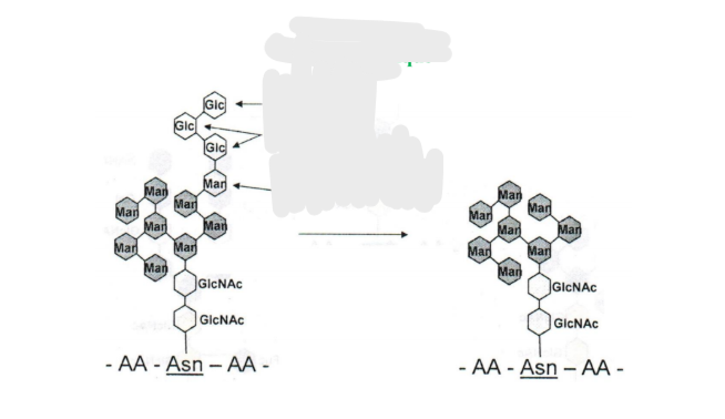 <p>ou </p>