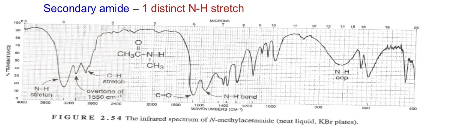<p>Secondary amide 1 stretch </p>