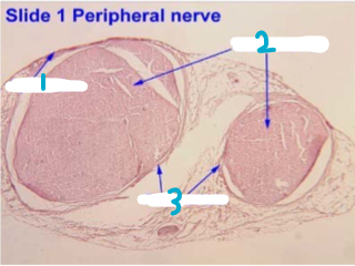 <p>Label this chart</p>