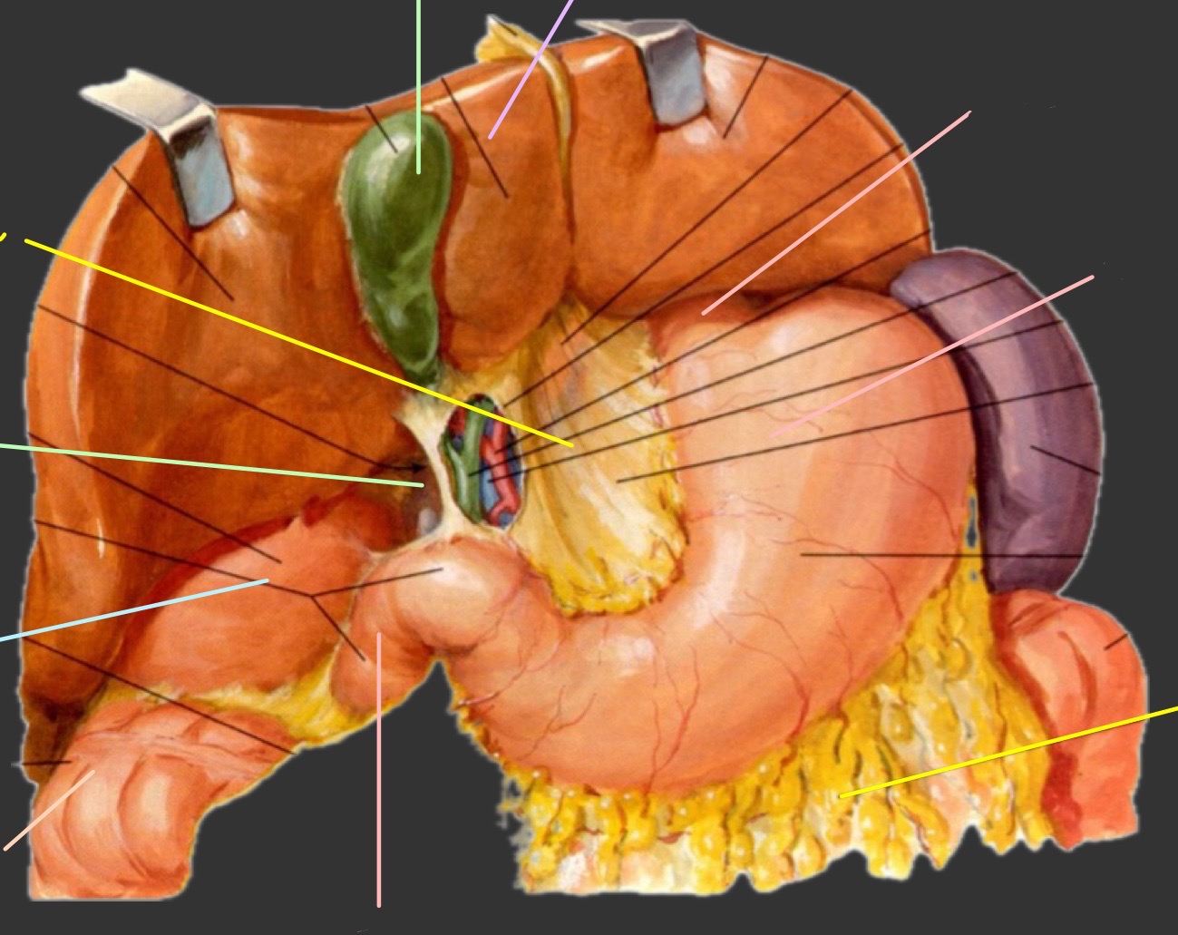 term image