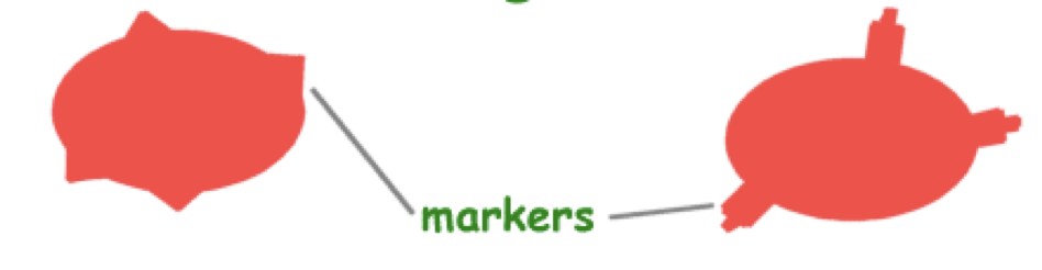 <p>What is this?</p>