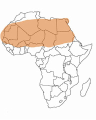<p>A huge desert stretching across most of North Africa</p>
