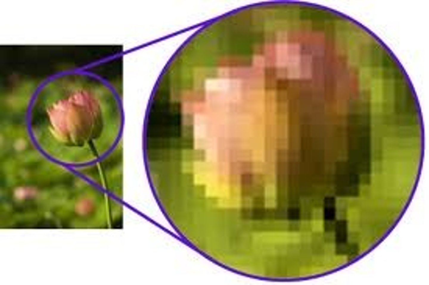<p>resolution</p>