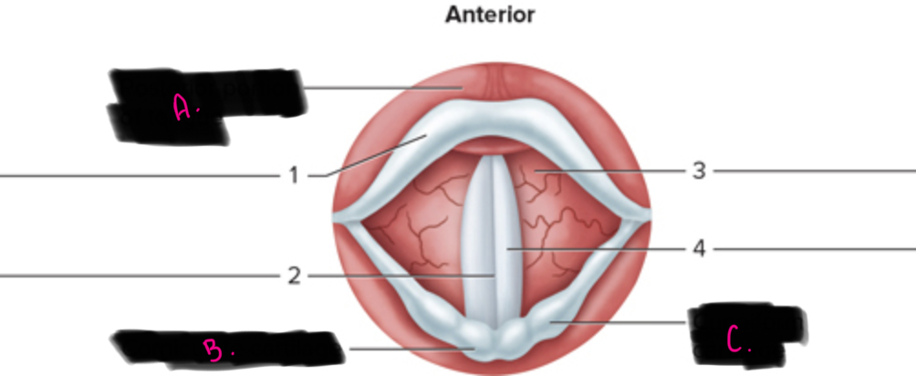 <p>what is A pointing to</p>