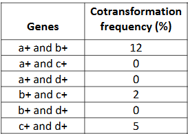 <p>A bacterium of genotype a+ b+ c+ d+ is the donor in a cotransformation mapping experiment. The recipient bacterium is a‐ b‐ c‐ d‐. Data from the transduced cells are shown below. Which two genes are closest together on the chromosome?</p>