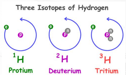 <ul><li><p>protium</p></li><li><p>deuterium</p></li><li><p>tritium</p></li></ul><p></p>