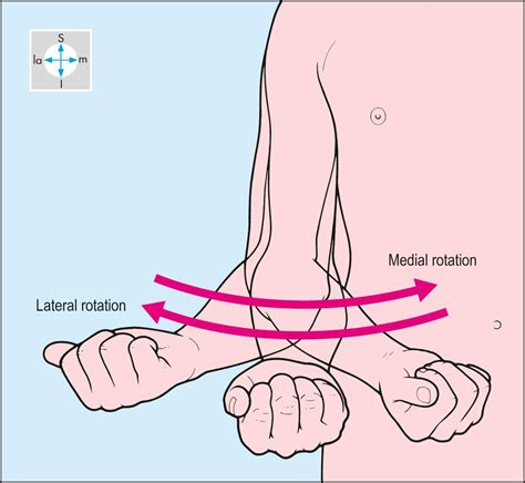 <p><strong>Medial rotation</strong> is defined as the internal rotation of the limb towards the midline. For instance, the <strong>medial rotation</strong> at the hip joint can be brought about by internally rotating a fully extended lower limb, such that the big toe points inwards. The rotational movement occurs along the long axis of the lower limb. Similarly, when the arms are placed on the side of the chest and elbows flexed (as if holding a tray), then <strong>medial rotation</strong> at the shoulder joint can be brought about by bringing the forearm and hand inwards. The rotation movement occurs along the long axis of the humerus.</p><p><br></p>