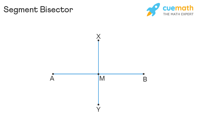 <p>A line or segment that splits another segment into two congruent parts</p>