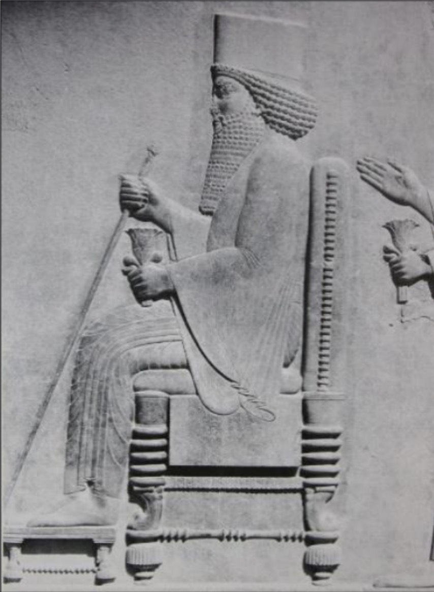 term image